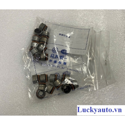 Phớt ghít xe Audi Q5_ 036109675